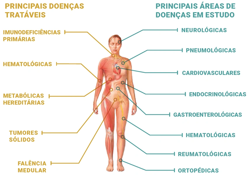 Anatomia Humana