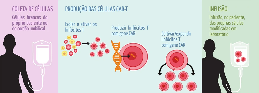 Ilustração informativa sobre como funciona a terapia com células CAR-T e CAR-NK