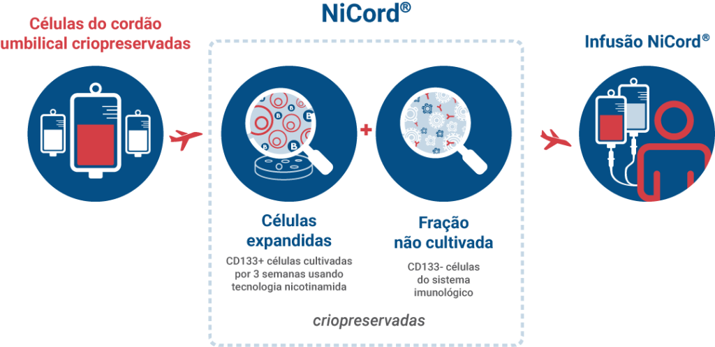 Infográfico do estudo do sistema NiCord