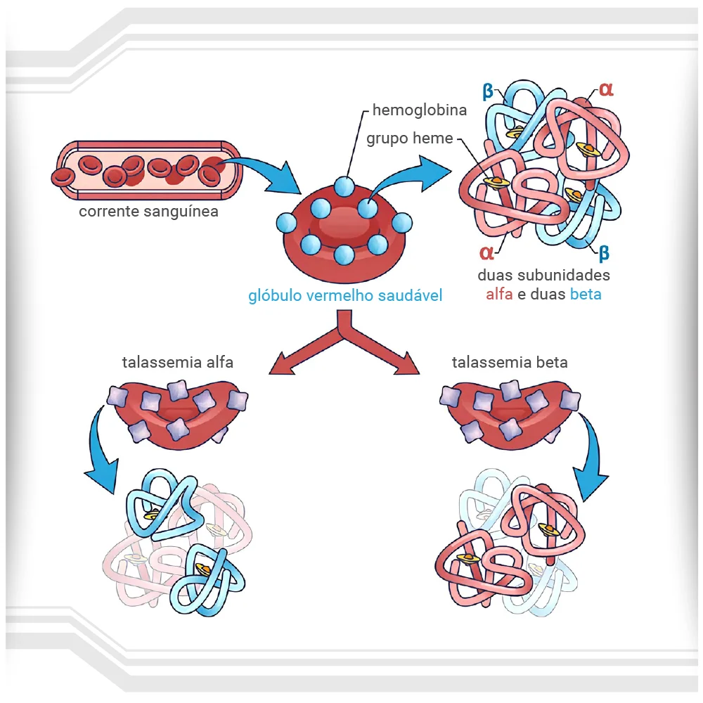 Infográfico sobre Talassemia.