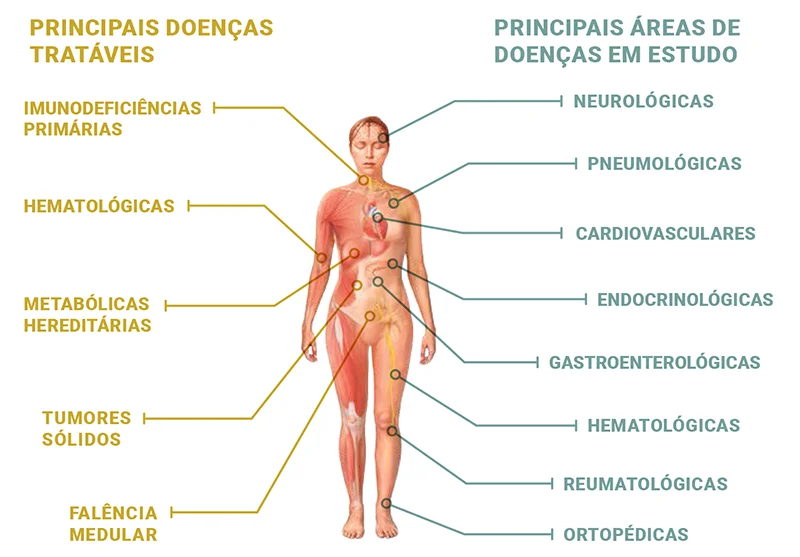 Anatomia humana e lista de doenças tratáveis e em estudo